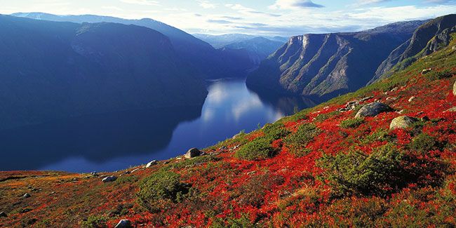NOR-indian-summer:© Frithjof Fure:www.fjordnorway.com