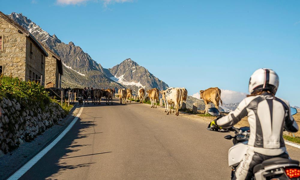 Die Schweiz mit Hotelcard erfahren – und sparen » 1 Hotelcard Schweiz